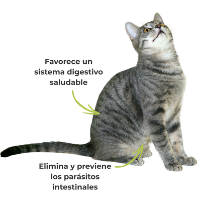 Suplemento natural para perros y gatos – Fórmula Protección Antiparasitaria ECO 100 g