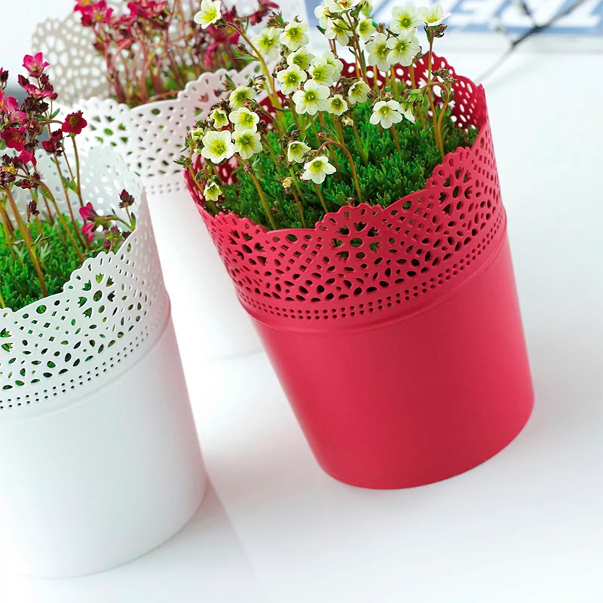 Maceta Lace , Dimensiones (mm) 180x180x210, Color Fucsia_3