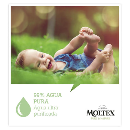 Toallitas Moltex Pure & Nature 60 Uds