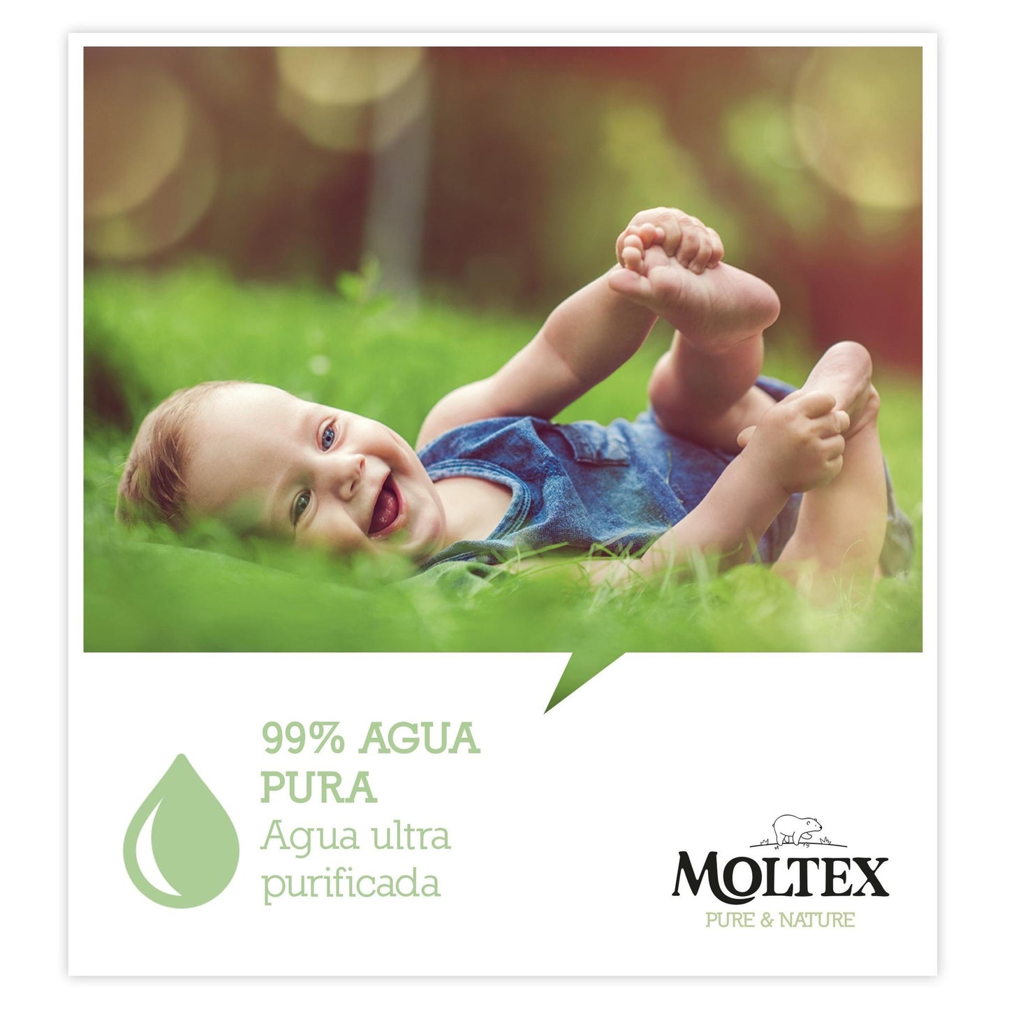 Pack 6 x Toallitas Moltex Pure & Nature 60 Uds