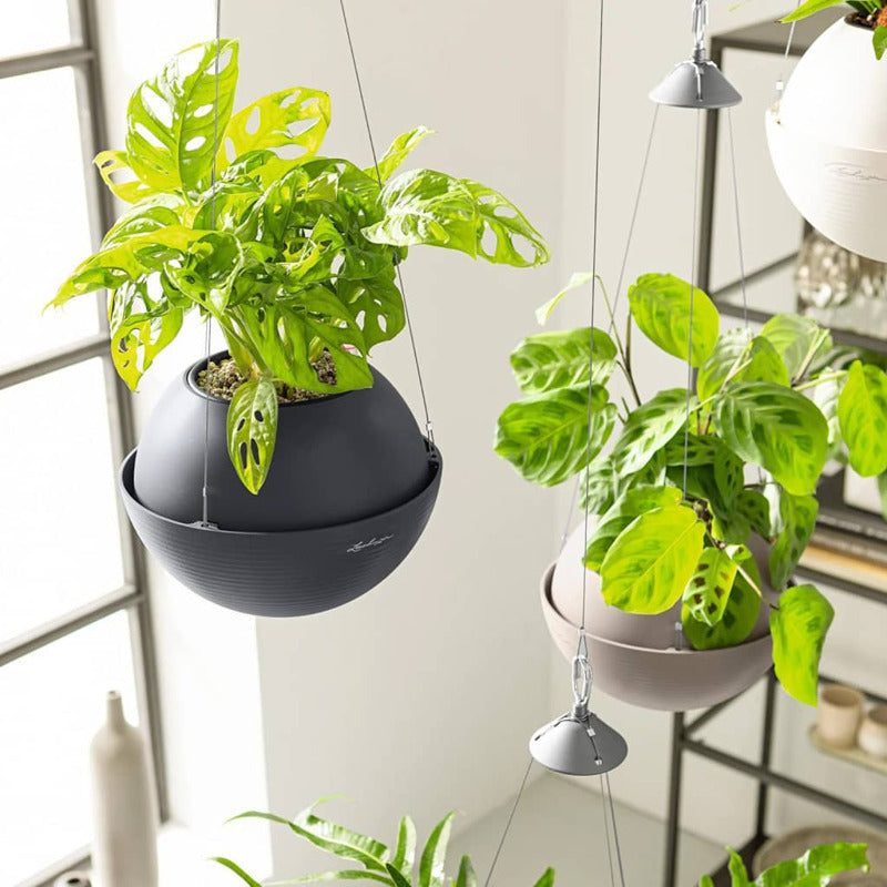 Lechuza Jardinera Colgante Bola Color 23 All-in-one Color Marrón Arena_5
