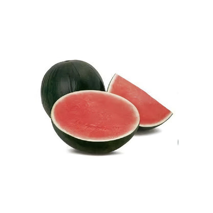 Plantón Sandia Negra Injertada En Calabaza(5 Unidades)_0
