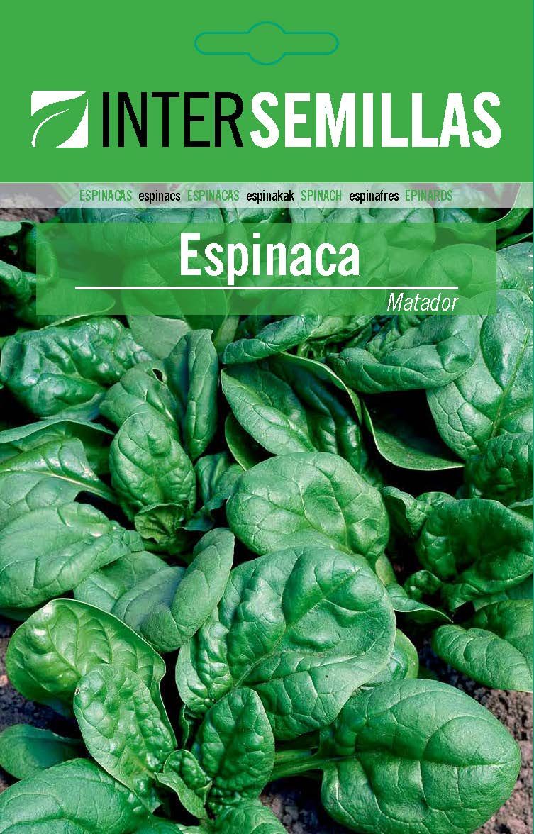 Espinaca Matador Sobre De Semillas Clasico Sellado