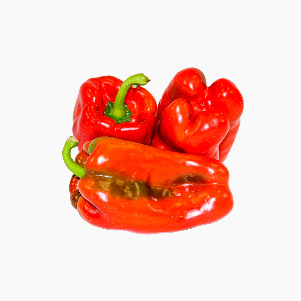 Plantón Pimiento Rojo 6 Unidades - Plantabo_1