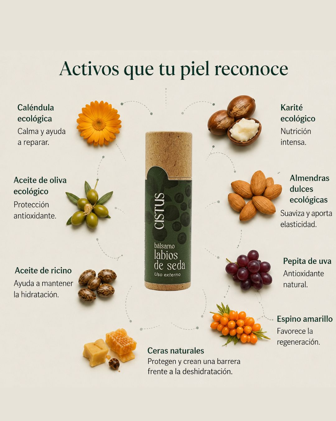 Bálsamo reparador multifunción Caléndula y Karité, labios secos, codos, talones y piel seca e irritada | SEDA 10 ml_2