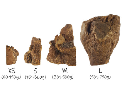 Bimordiscos Raíz De Brezo Para Perros. L_3