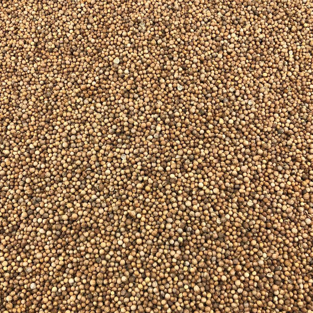 Semillas De Cilantro Bio Granel 0,125 Kg_0