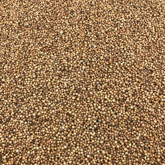 Semillas De Cilantro Bio Granel 0,125 Kg_0