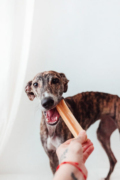 Bimorbox Pequeña · Pack Snacks Y Juguetes Naturales Para Perros.