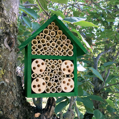Hotel de insectos en Bambú Verdemax