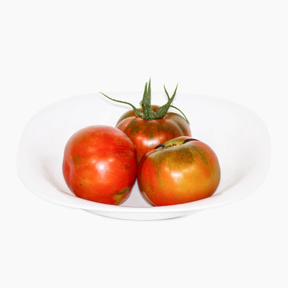Plantón Tomate Pometa 2 Unidades - PlantaBo_1