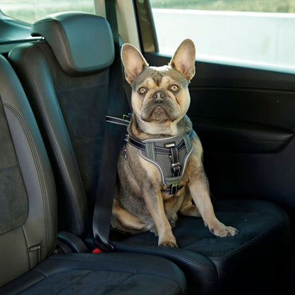 Kerbl Arnés De Seguridad De Coche Para Mascotas Negro 68-85 Cm_1
