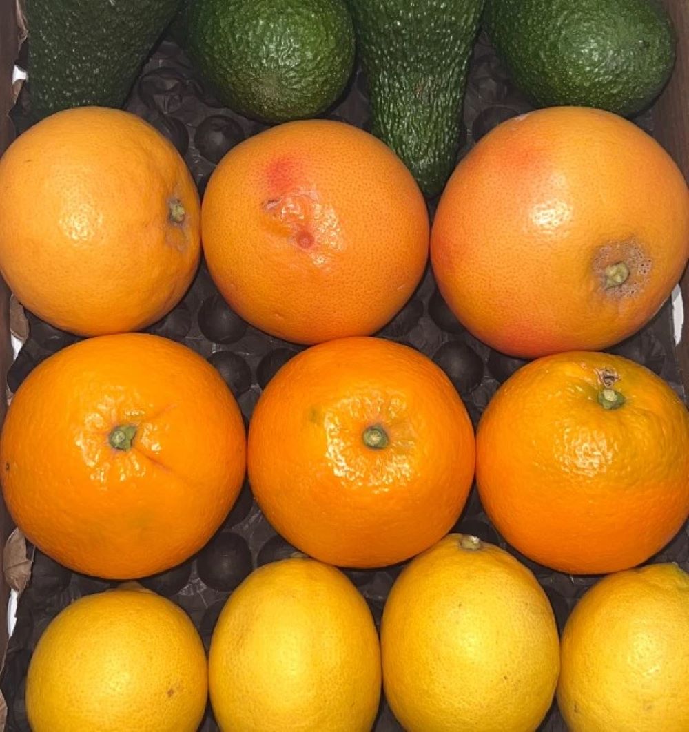 Mix Variado: Naranjas, Aguacates Hass, Pomelos Rojos Y Limones Verna Tropitop 4kg_2