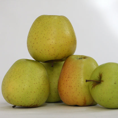 Caja Surtido Manzana Reineta, Fuji Y Golden. 10 Kg._1