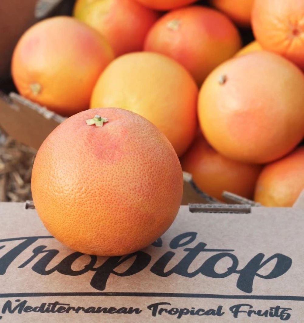 Pomelos Rojos Star Ruby Valencianos Tropitop 15kg_4