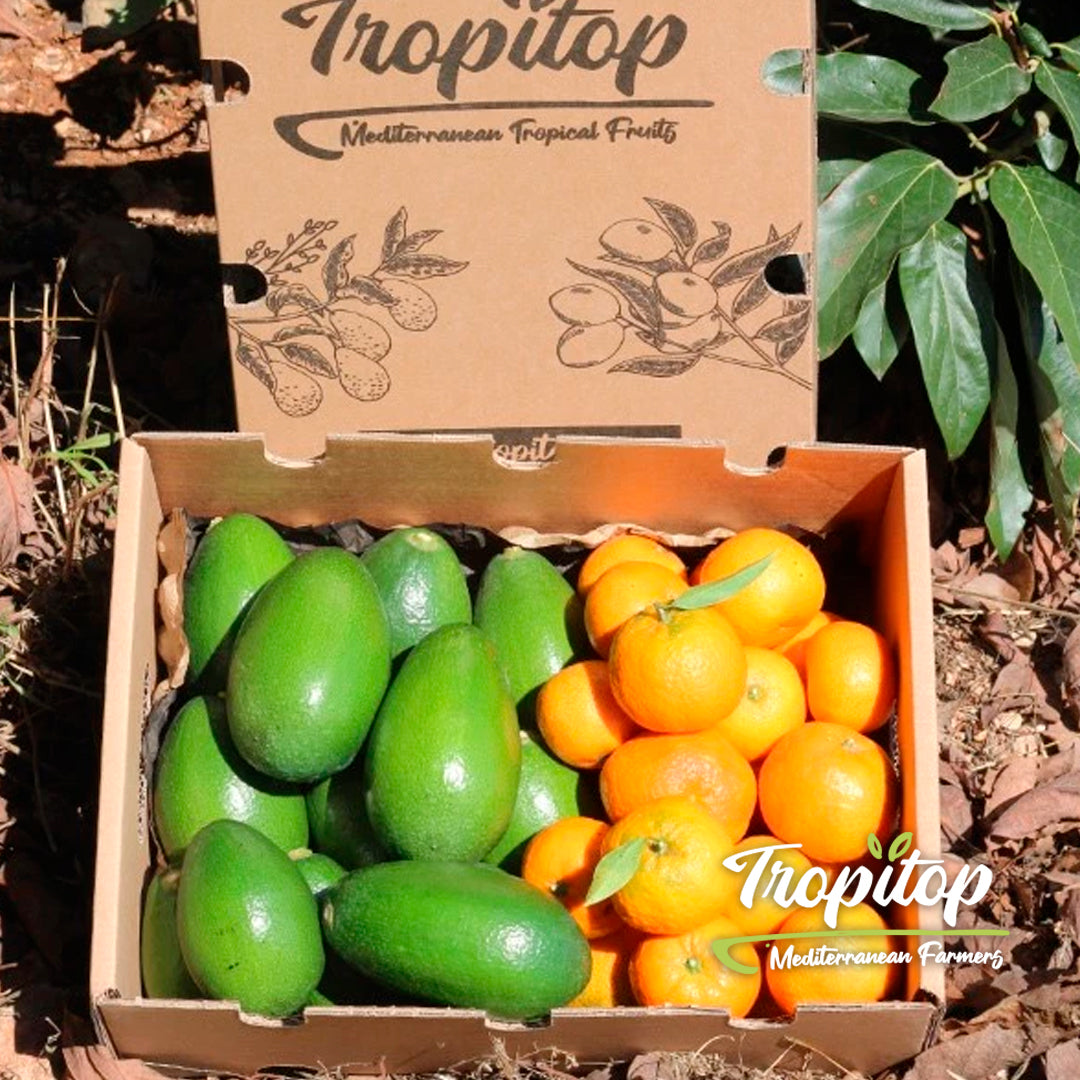 Caja 4kg Mix Aguacates De Piel Lisa Y Mandarinas | 2kg De Cada Fruta_1