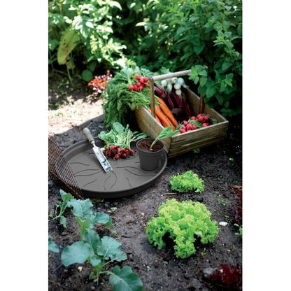 Plato tiesto Green Basics Elho Antracita 25 cm