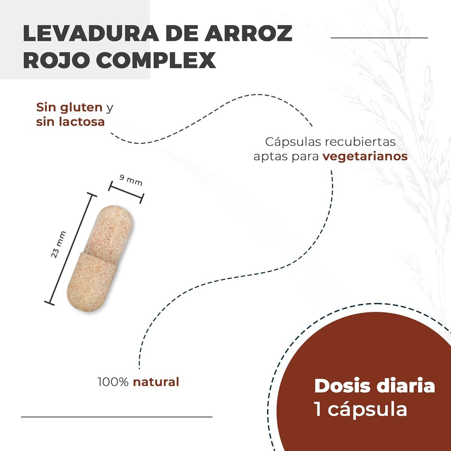 Nutralie Levadura de Arroz Rojo con 2,9mg Monacolina y Q10 90 Cápsulas
