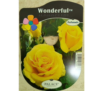 Rosal Bajo Perfumado 2lt (7 Variedades)_1