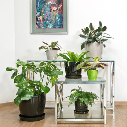 Macetero Magnolia 250 Negro_3