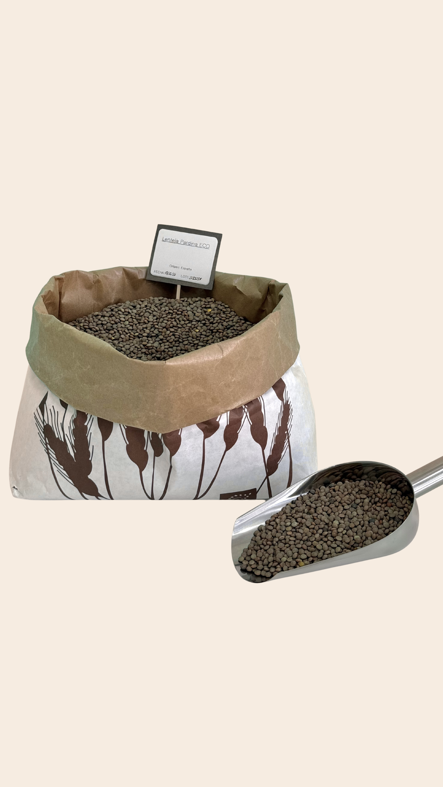 Lenteja Pardina (500g)_0