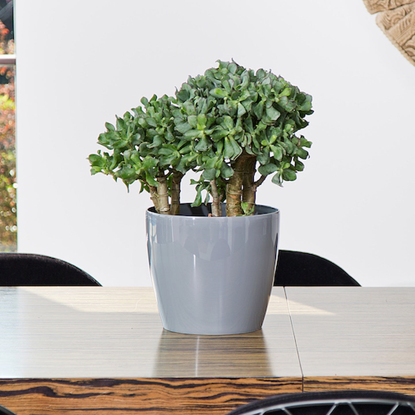 Macetero Magnolia 300 Granate