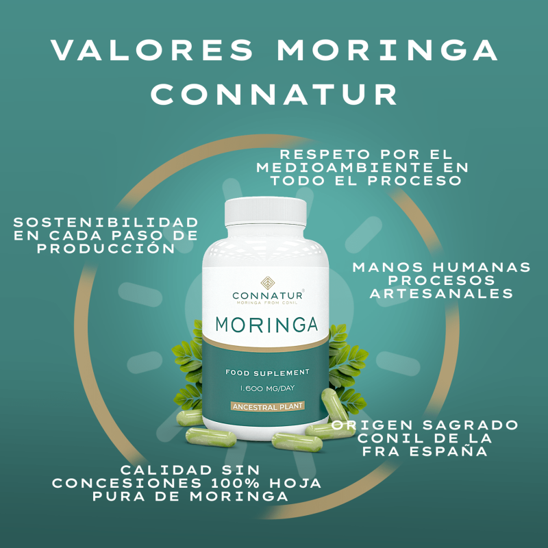 Moringa Oleifera Bio 120 Capsulas Connatur - Pack 4 Unidades_1