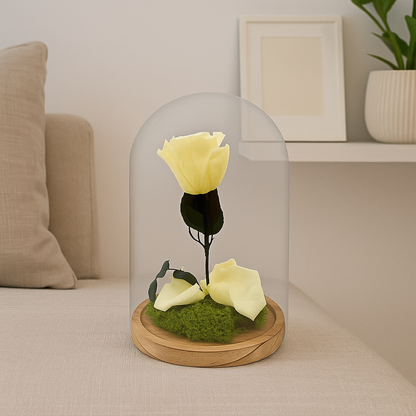 Mundo Eterno Rosa En Cúpula Crema (champagne) 12x20cm