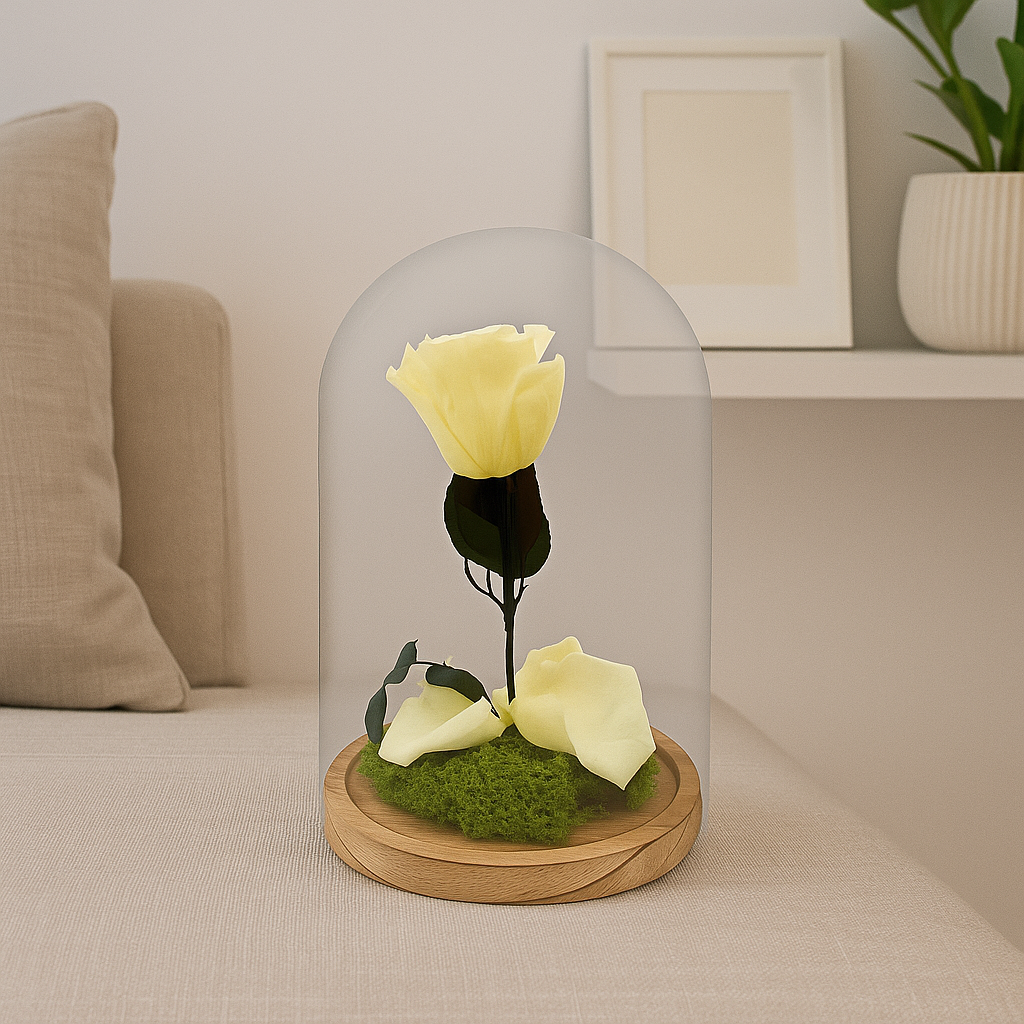 Mundo Eterno Rosa En Cúpula Crema (champagne) 12x20cm_2