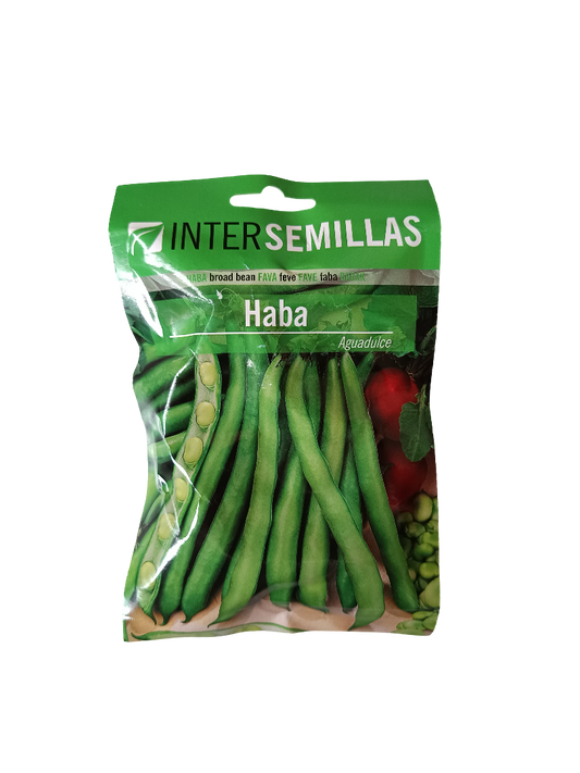 Semillas De Haba Variedad Aguadulce 100 Gr._0