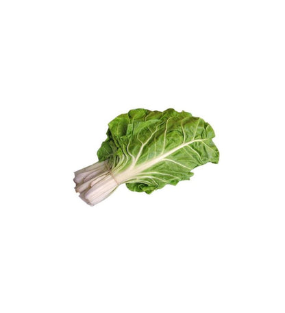 Plantón Acelgas (10 Unidades)_0