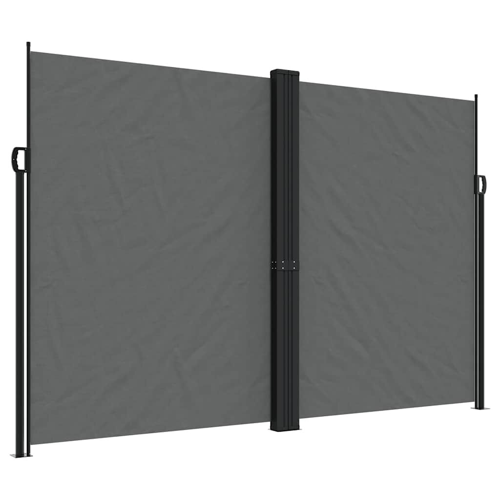 Vidaxl Toldo Lateral Retráctil Gris Antracita 220x600 Cm_0