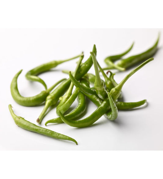 Plantón Piparra Vasca (10 Unidades)_0