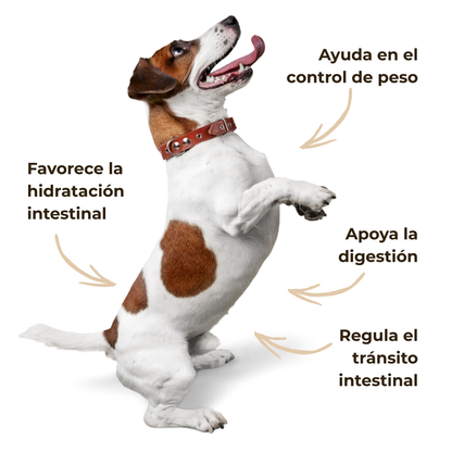 Psyllium ECO para perros y gatos – Tránsito intestinal – 300 g_3