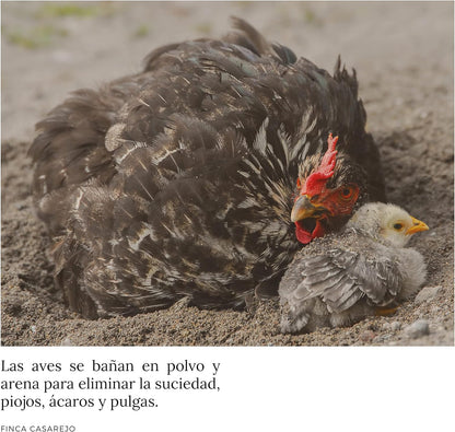 Baño De Arena Para Gallinas - Desparasitante Natural Para Aves De Corral - Arena Para Que Las Gallinas Se Revuelquen_2