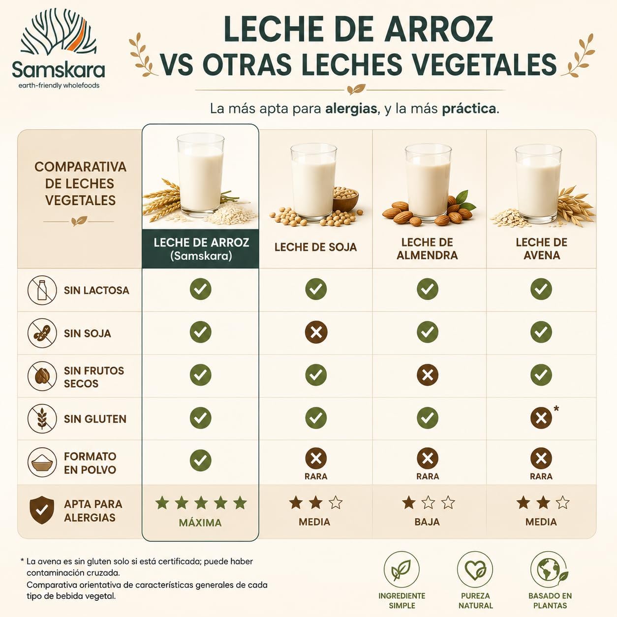 Leche De Arroz En Polvo Bio - 500g | Bebida Vegetal Ecológica Vegana, Sin Lactosa, Sin Azúcares Añadidos, Sin Gluten_4