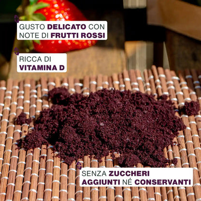 Açaí En Polvo Bio 100g_3