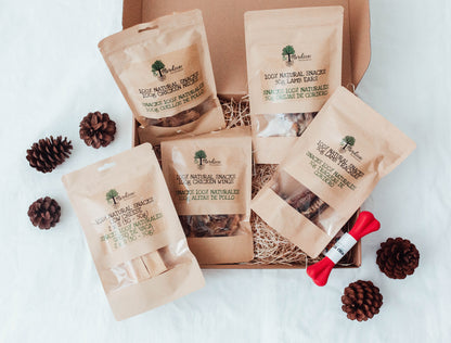 Bimorbox Pequeña · Pack Snacks Y Juguetes Naturales Para Perros.