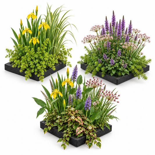 Set Isla De Plantas Estanque 3 Piezas - Sistema Completo 12 Plantas_0