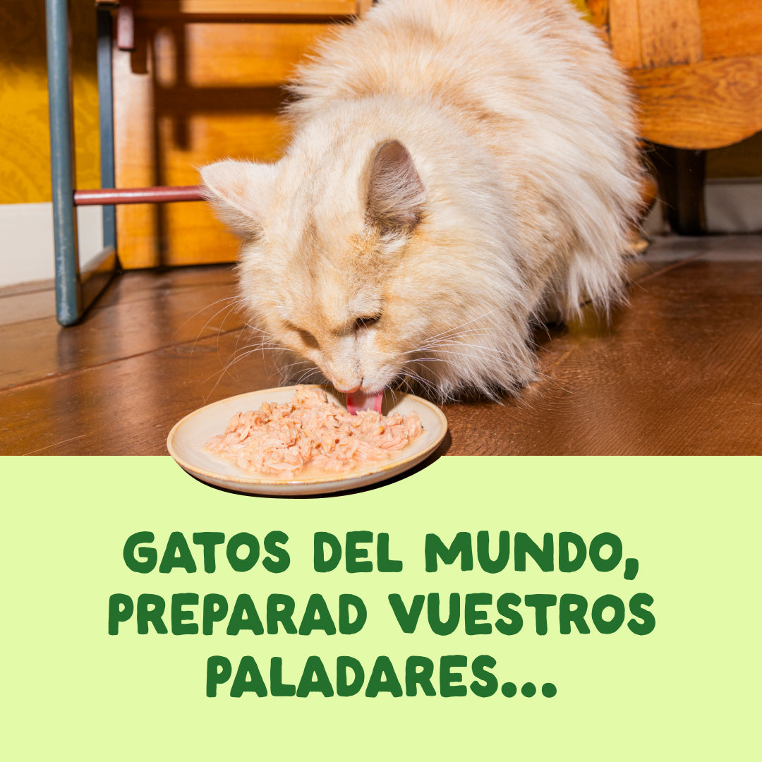 Filetes de caballa para gatos Edgard & Cooper 70 g