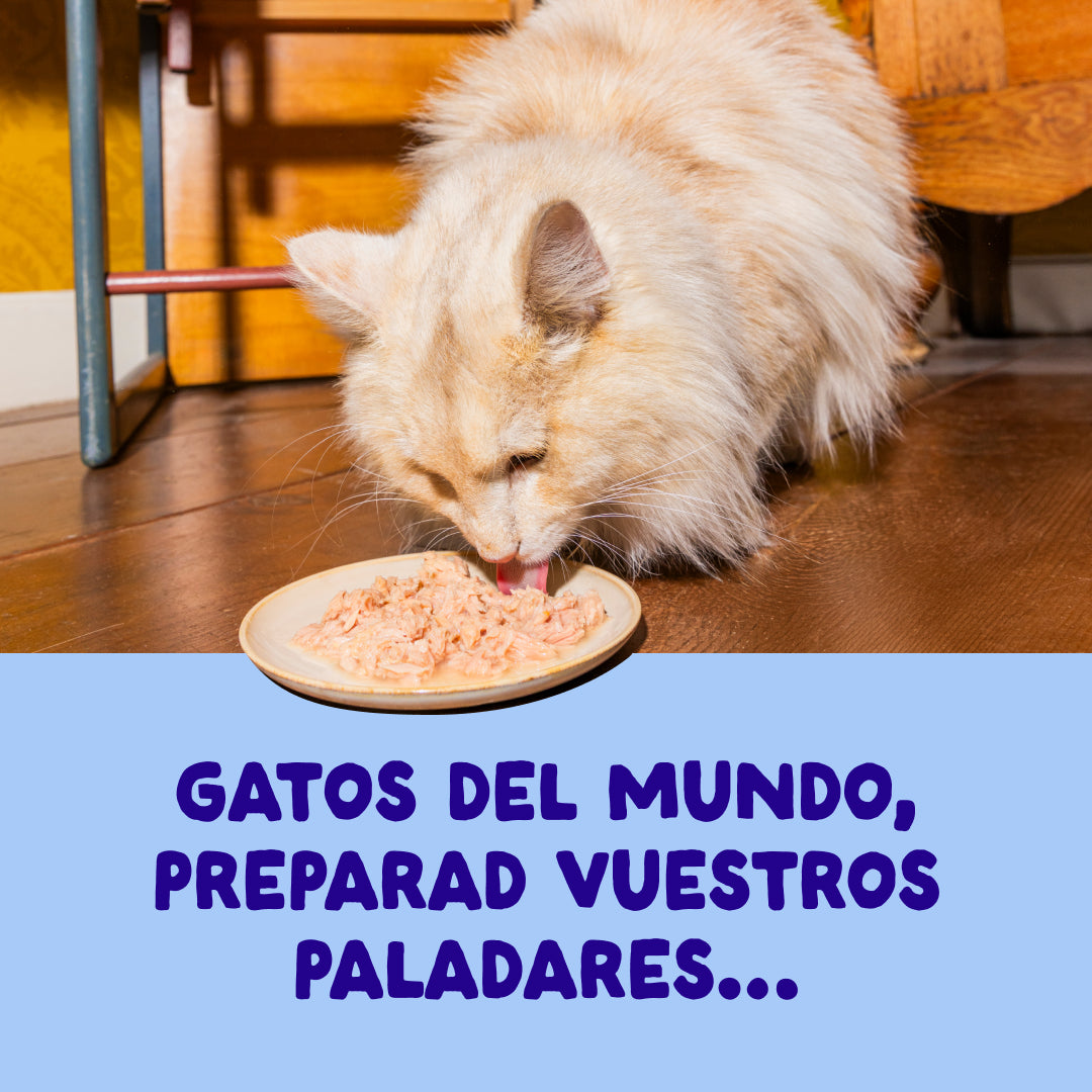 Filetes de atún con pollo para gatos Edgard & Cooper 70 g