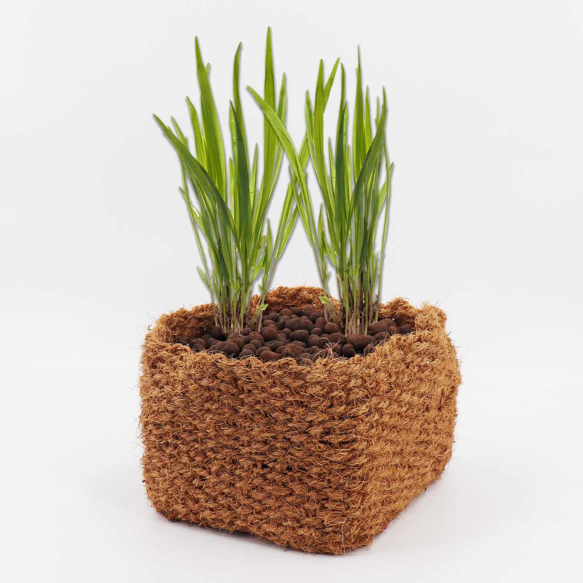 3 Cestas Para Plantas De Coco 20 X 20 X 15 Cm Cesta Para Estanque Para Estera De Banco Y Estera De Terraplén_2