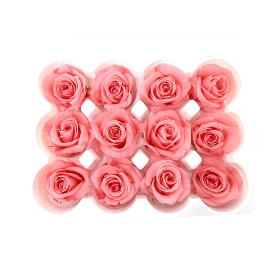 Mundo Eterno Rosas Preservadas Rosas 12 Unidades 4cm_0