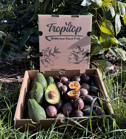 Pack 4kg Aguacate Hass Y Maracuyá (fruta De La Pasión) | 2kg De Cada Fruta_1
