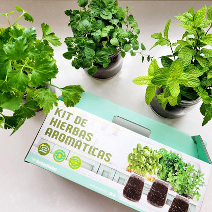 Kit para Plantar TOP Aromáticas en tu Cocina: Albahaca, Perejil y Menta, Garden Pocket