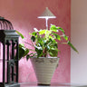 Lámpara Para Plantas Sunlite Blanco.