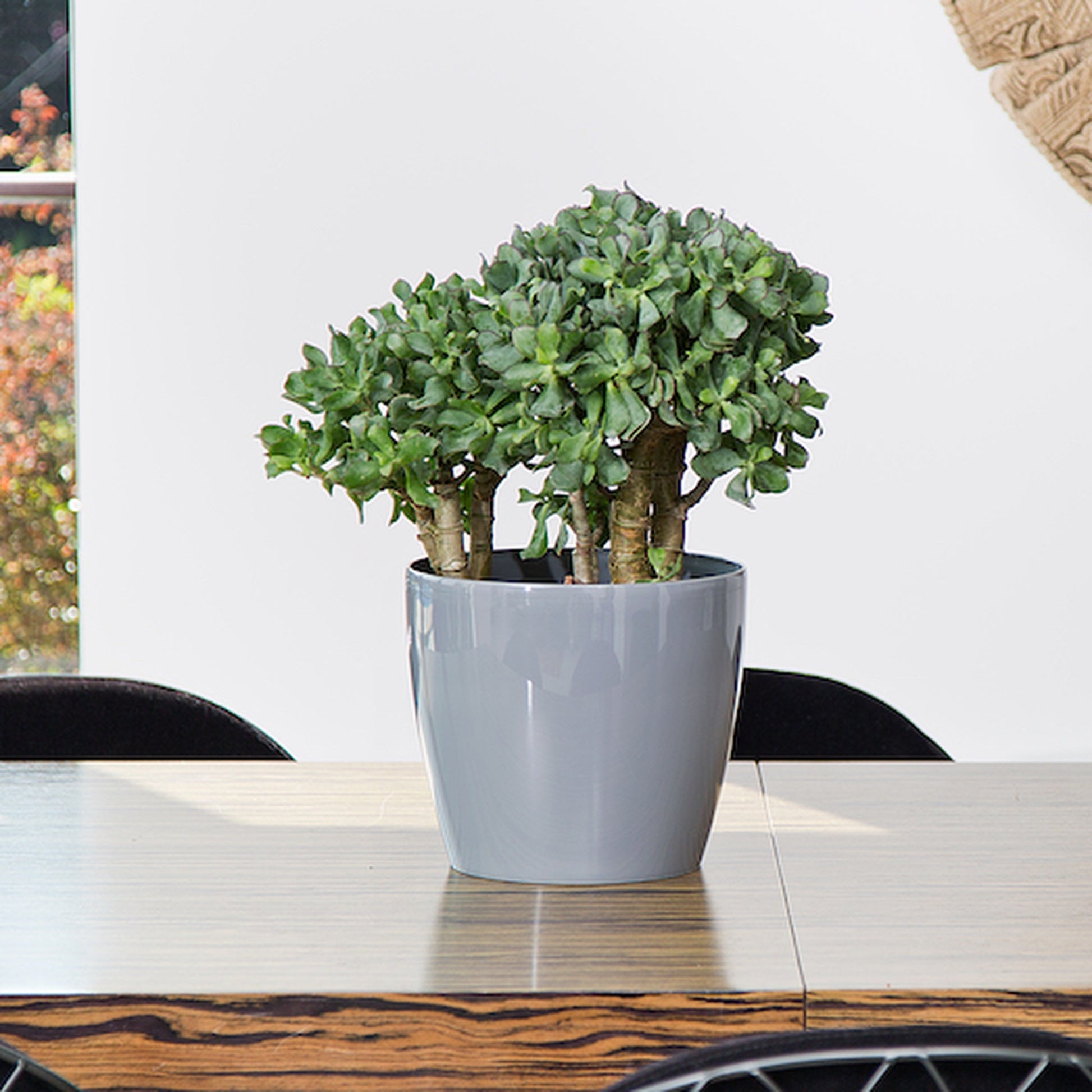 Macetero Magnolia 360 Gris_4