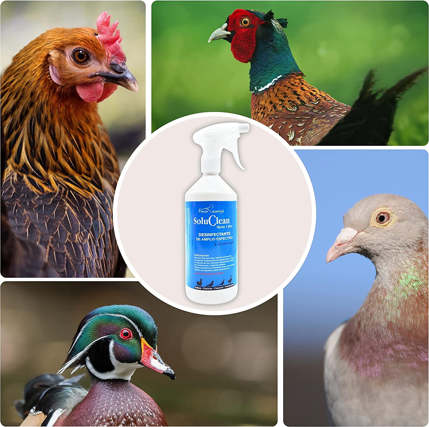 Espray Para Limpieza Instalaciones De Animales Y Material Limpieza De Gallineros Y Perreras Soluclean Espray 1 Litro_4