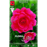 Bulbo Begonia doble rosa 3 uds