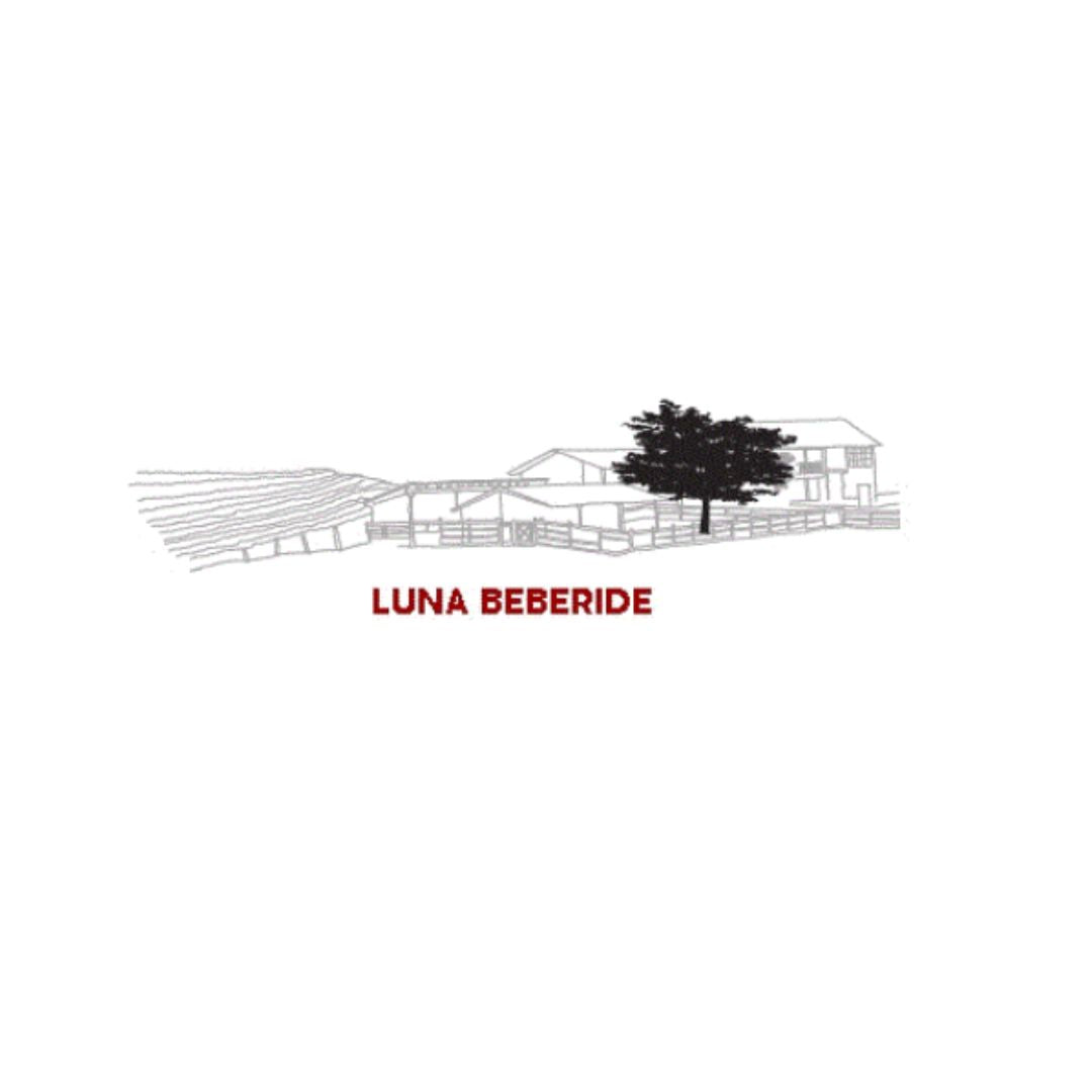 Vino Tinto - Finca Luna Beberide - Mencía -2022_3